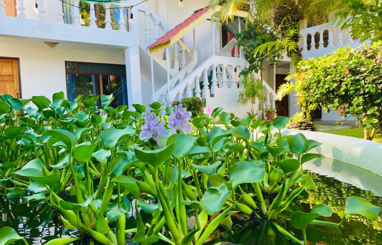 Hospedaje كيبوس المظهر الخارجي الصورة